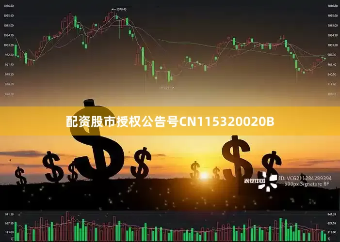 配资股市授权公告号CN115320020B