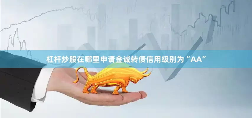 杠杆炒股在哪里申请金诚转债信用级别为“AA”
