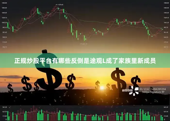 正规炒股平台有哪些反倒是途观L成了家族里新成员